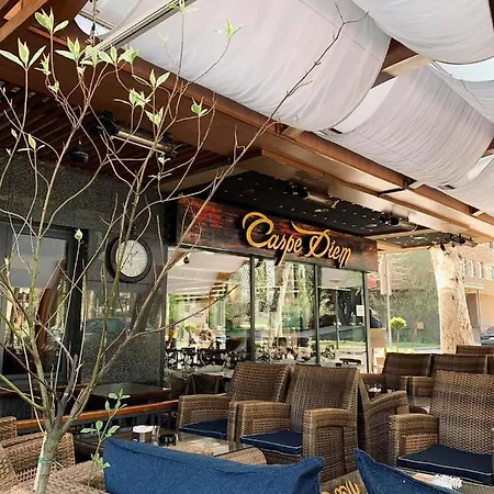 Carpe Diem Boutique 체니카